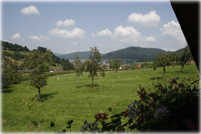 Blick auf Seelbach