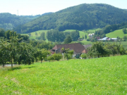 Rund um den Moserhof