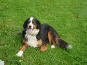 Rund um den Moserhof